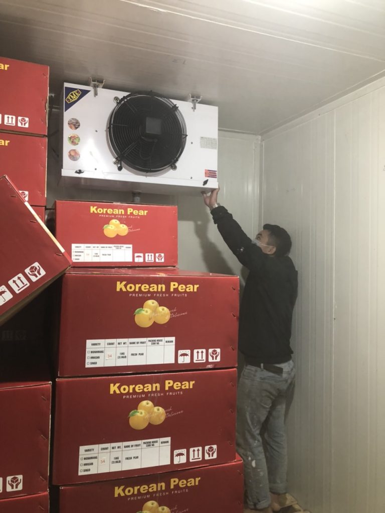 Bảo Trì – Sửa Chữa Kho Lạnh Tại Đà Nẵng